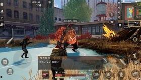 代号真实最新爆料,揭秘最新爆料背后的惊人真相 第3张 代号真实最新爆料,揭秘最新爆料背后的惊人真相 第3张