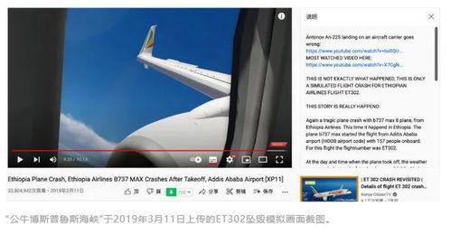 国外爆料东航事件视频下载,国外视角下的惊心动魄瞬间  第3张